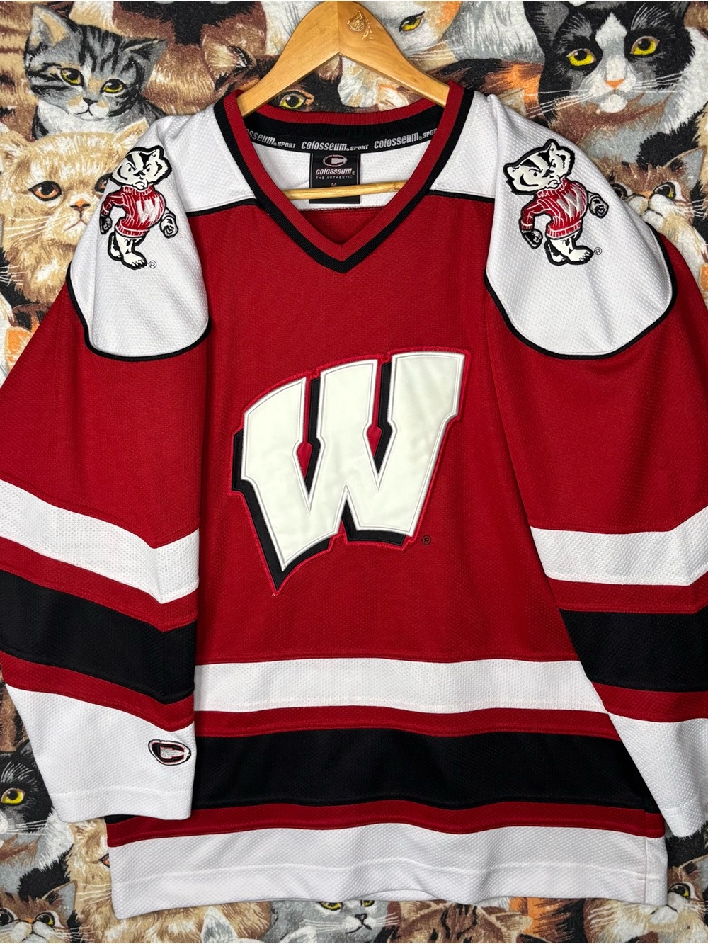 Colosseum Wisconsin Badgers Hockey Jersey Y2K NCAA Mens M Genderless Bucky 🦡